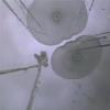 STS-122