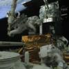 STS-125