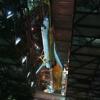 STS-119