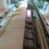 STS-119