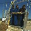 STS-126
