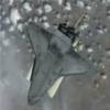 STS-134