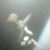 STS-134