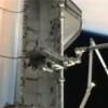 STS-132