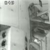 STS-118