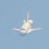 STS-124