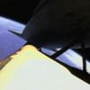 STS-125