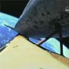 STS-120