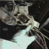 STS-130