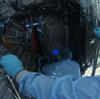 STS-130