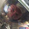 STS-132