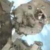 STS-124