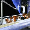 STS-125
