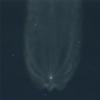 Expedition 16