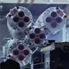 Expedition 26
